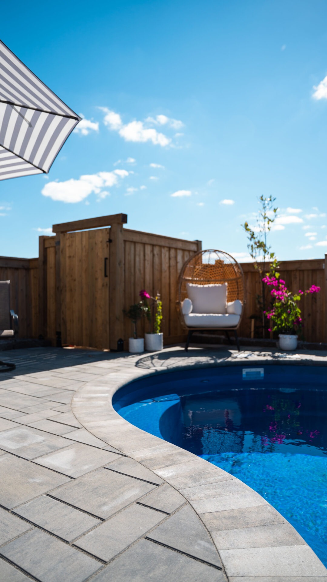 A backyard with a pool, potted plants, and a hanging chair under a blue sky, enclosed by a wooden fence.