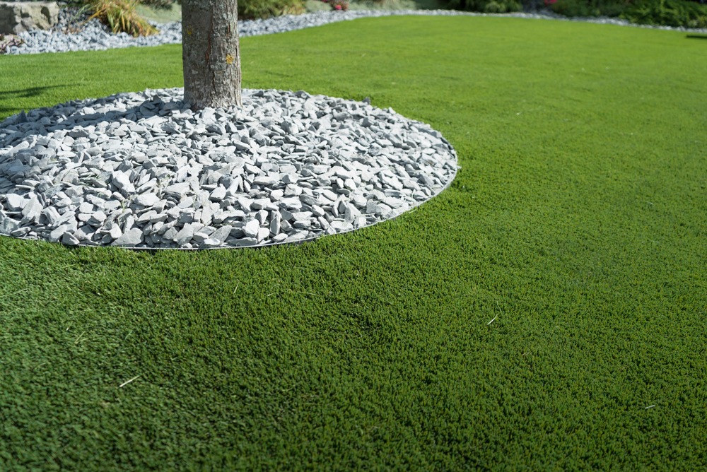 A tree grows surrounded by white stones on a manicured lawn, creating a neat and decorative garden feature.