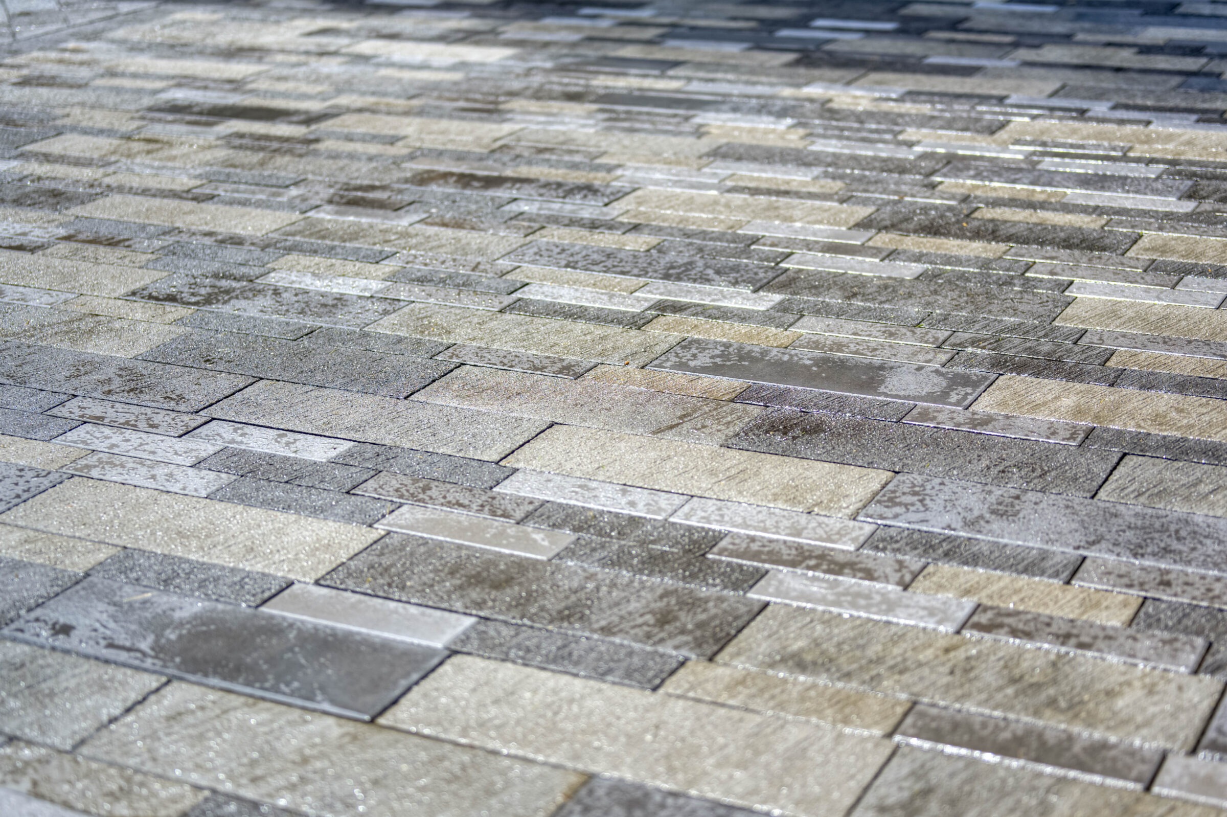 Close-up of a wet, textured stone pavement with staggered rectangular patterns. The stones vary in tone, creating a mosaic-like appearance.
