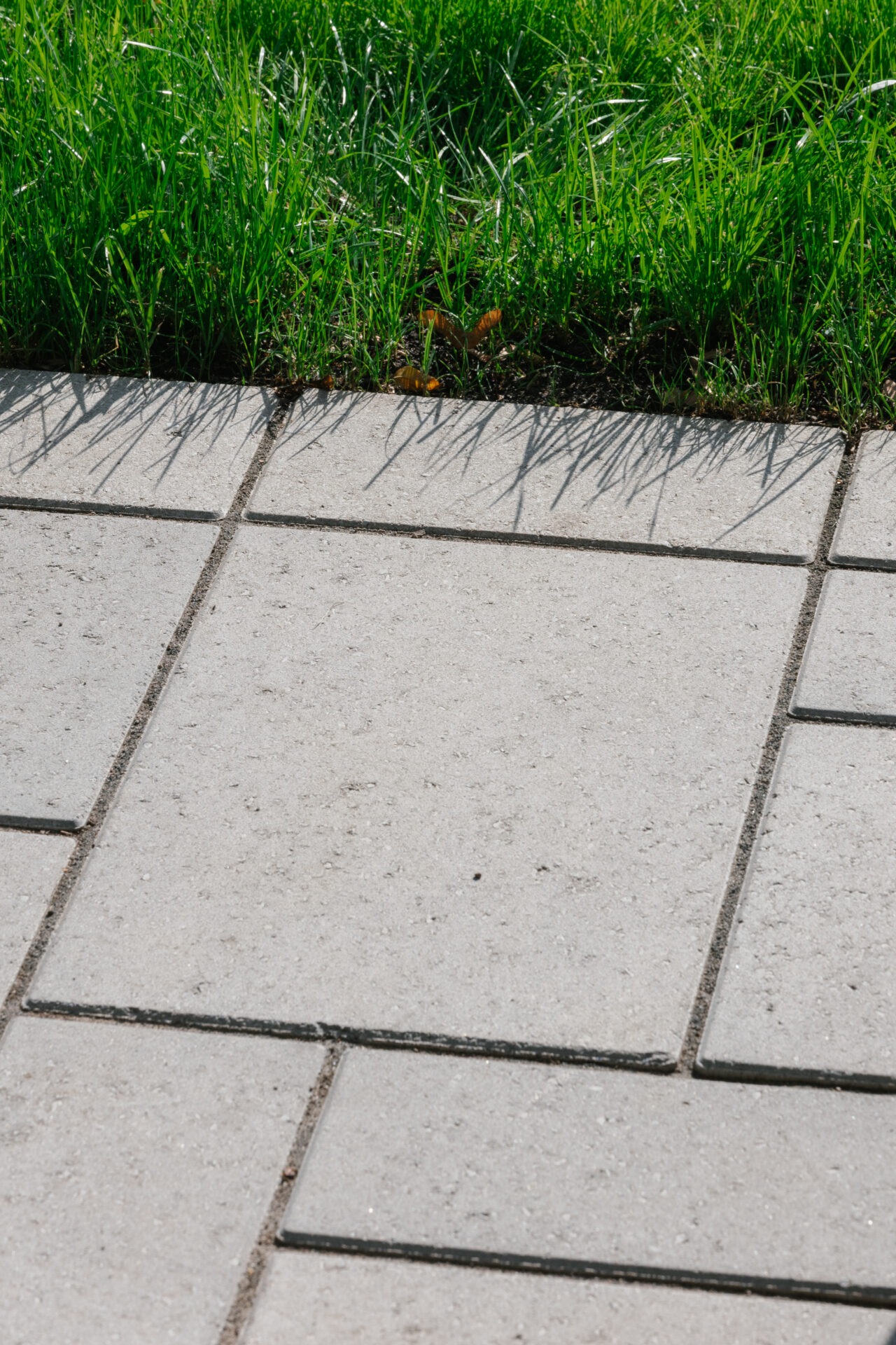 Gray paving stones meet lush green grass, casting sharp shadows under bright sunlight, creating a striking contrast between natural and man-made textures.