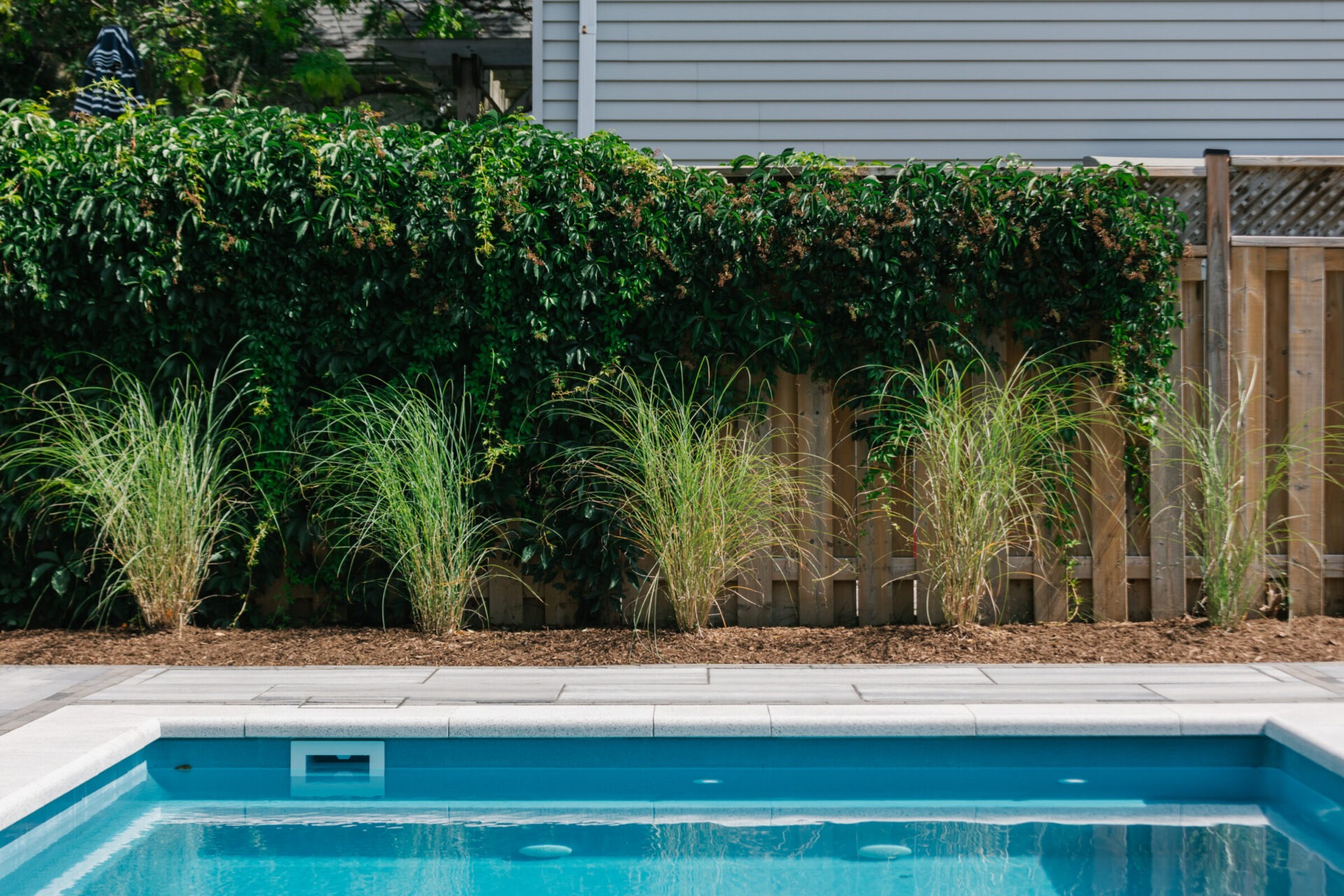 A backyard pool with surrounding greenery, wooden fence, and siding, showcasing a serene outdoor setting with a blue sky overhead.