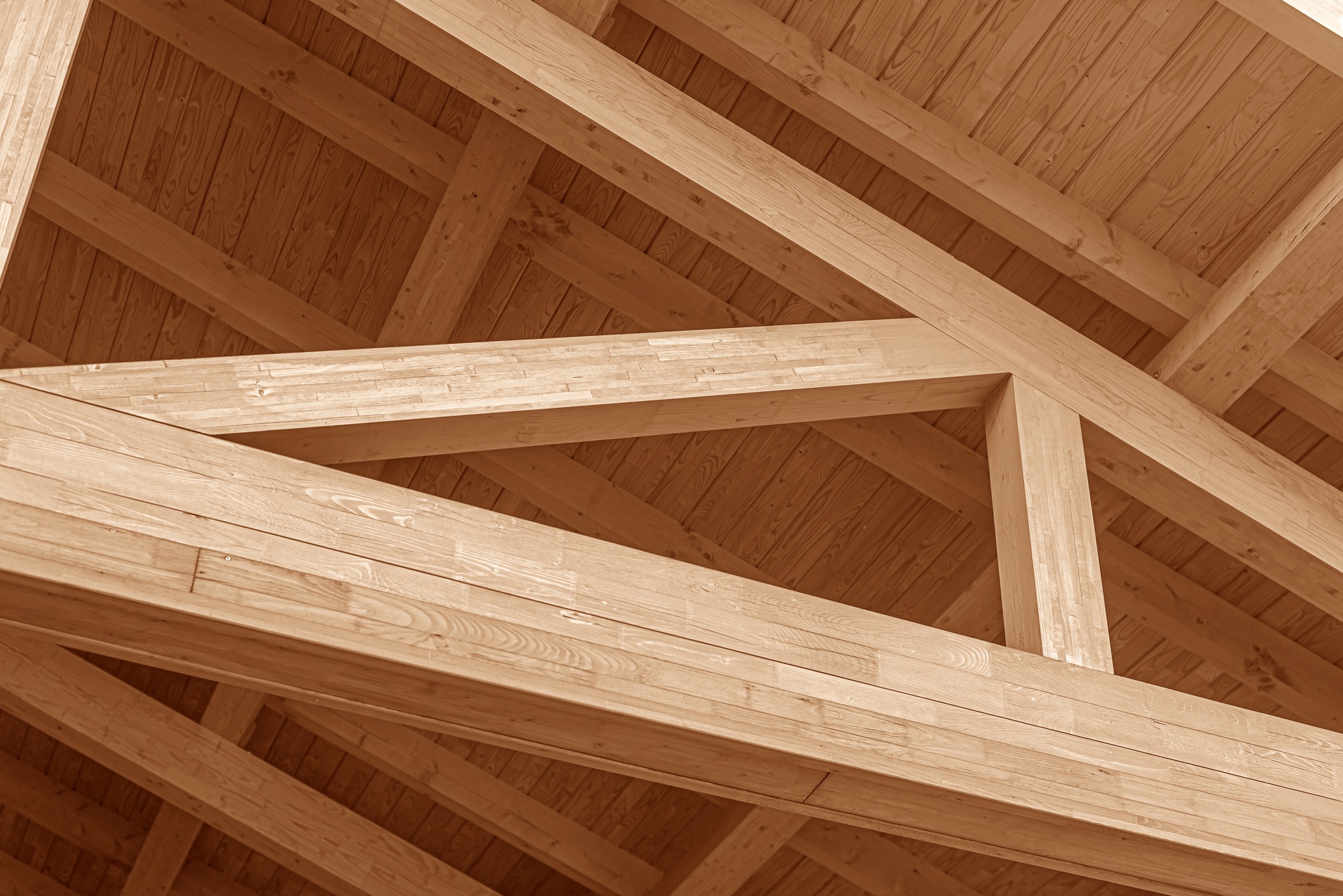 Wooden beams form an intricate truss pattern on a ceiling, showcasing craftsmanship and architectural design with a focus on natural materials.