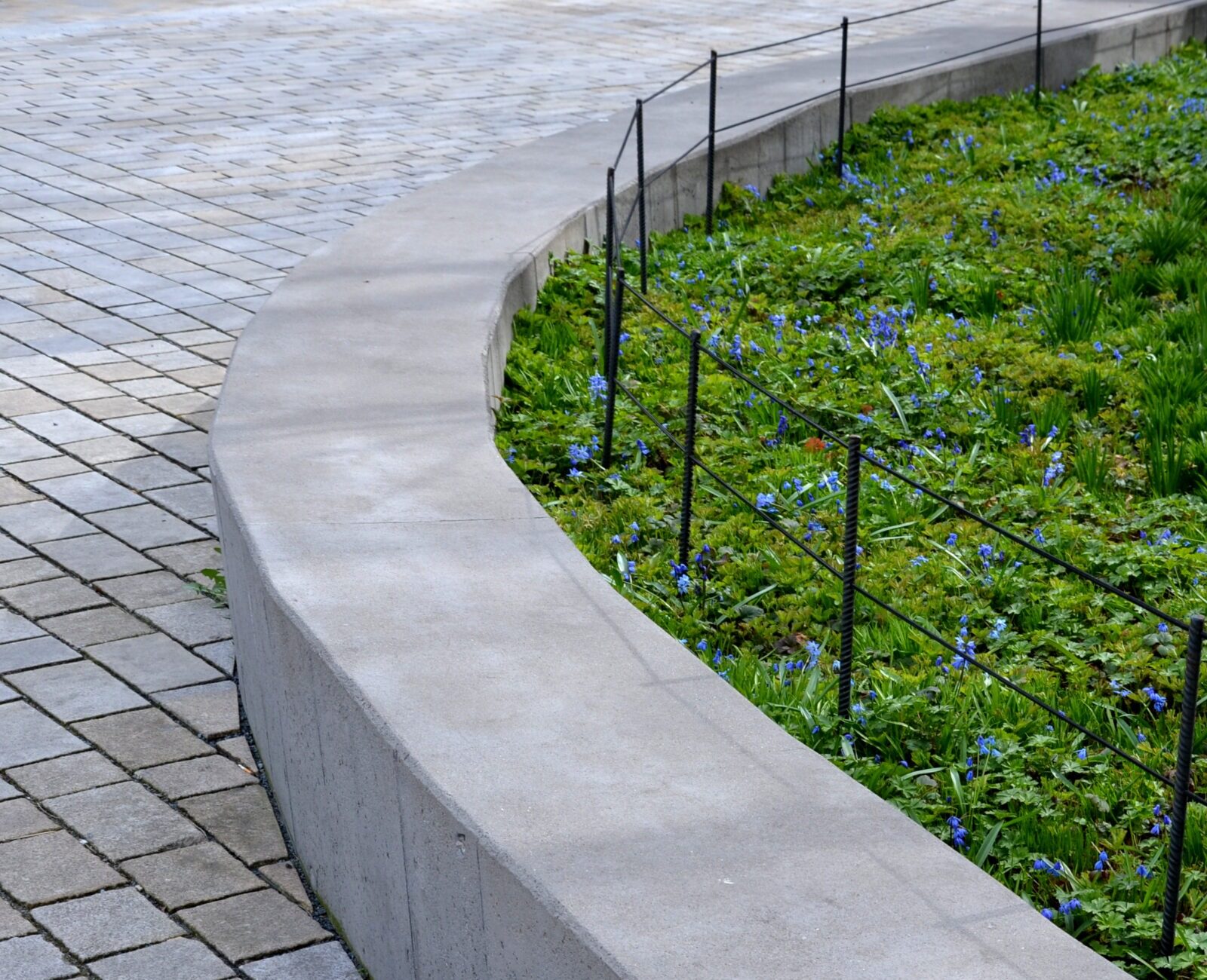Curved concrete edge borders a vibrant garden with blue flowers and greenery, separated by a simple black fence, alongside a paved pathway.