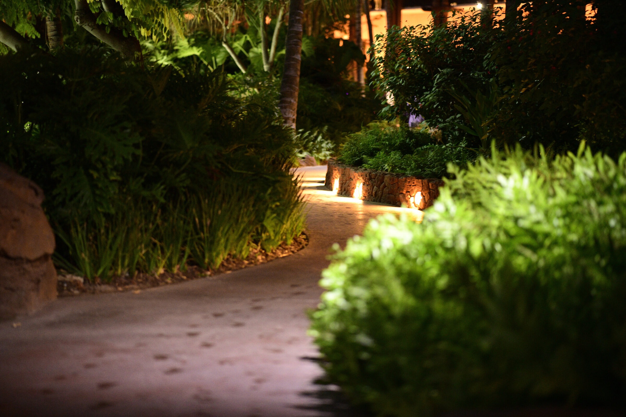 A curved, illuminated pathway surrounded by lush green foliage at night, creating a serene and inviting ambiance with no people present.