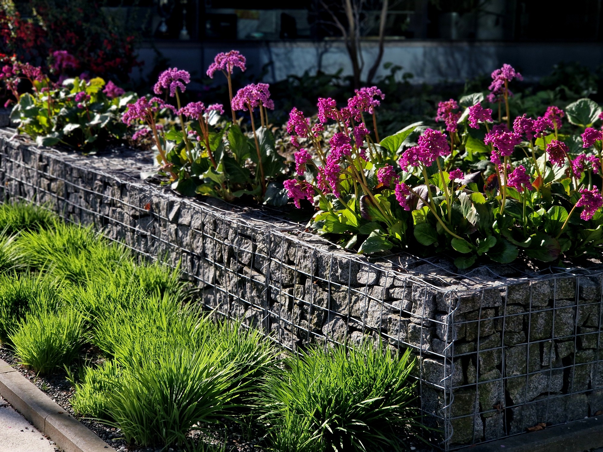 A neatly arranged rock and wire planter displays vibrant purple flowers and lush greenery in a garden setting.