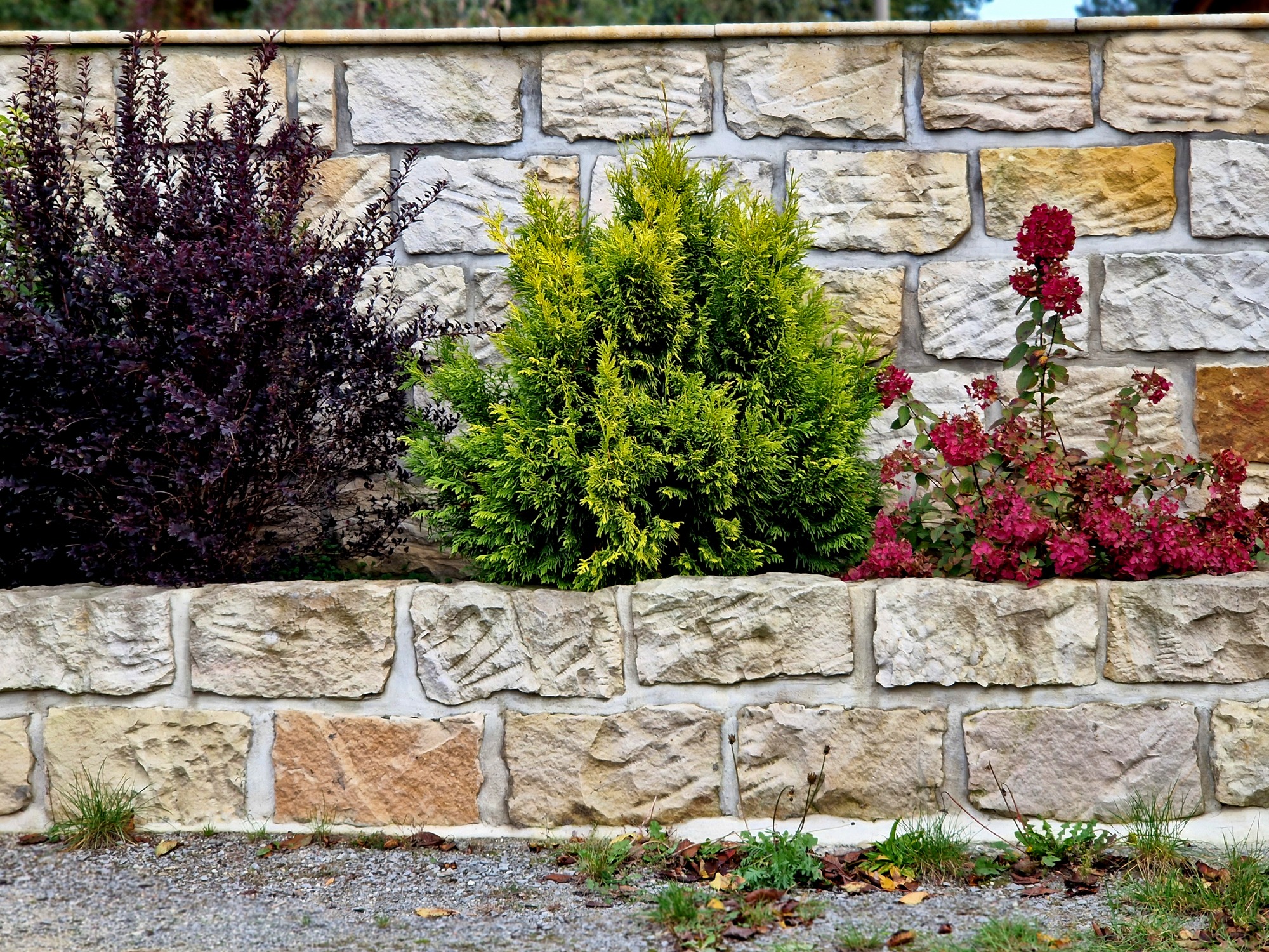 A stone wall with vibrant purple and green bushes, alongside red flowers, creating a colorful garden border.