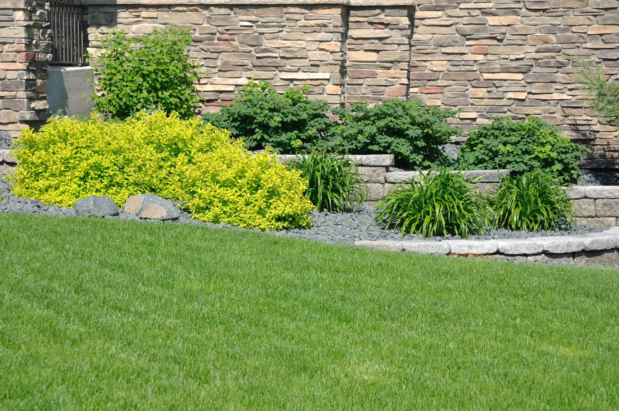 A well-maintained lawn with vibrant green grass, decorative stone landscaping, and lush bushes against a brick wall. Peaceful garden scene.
