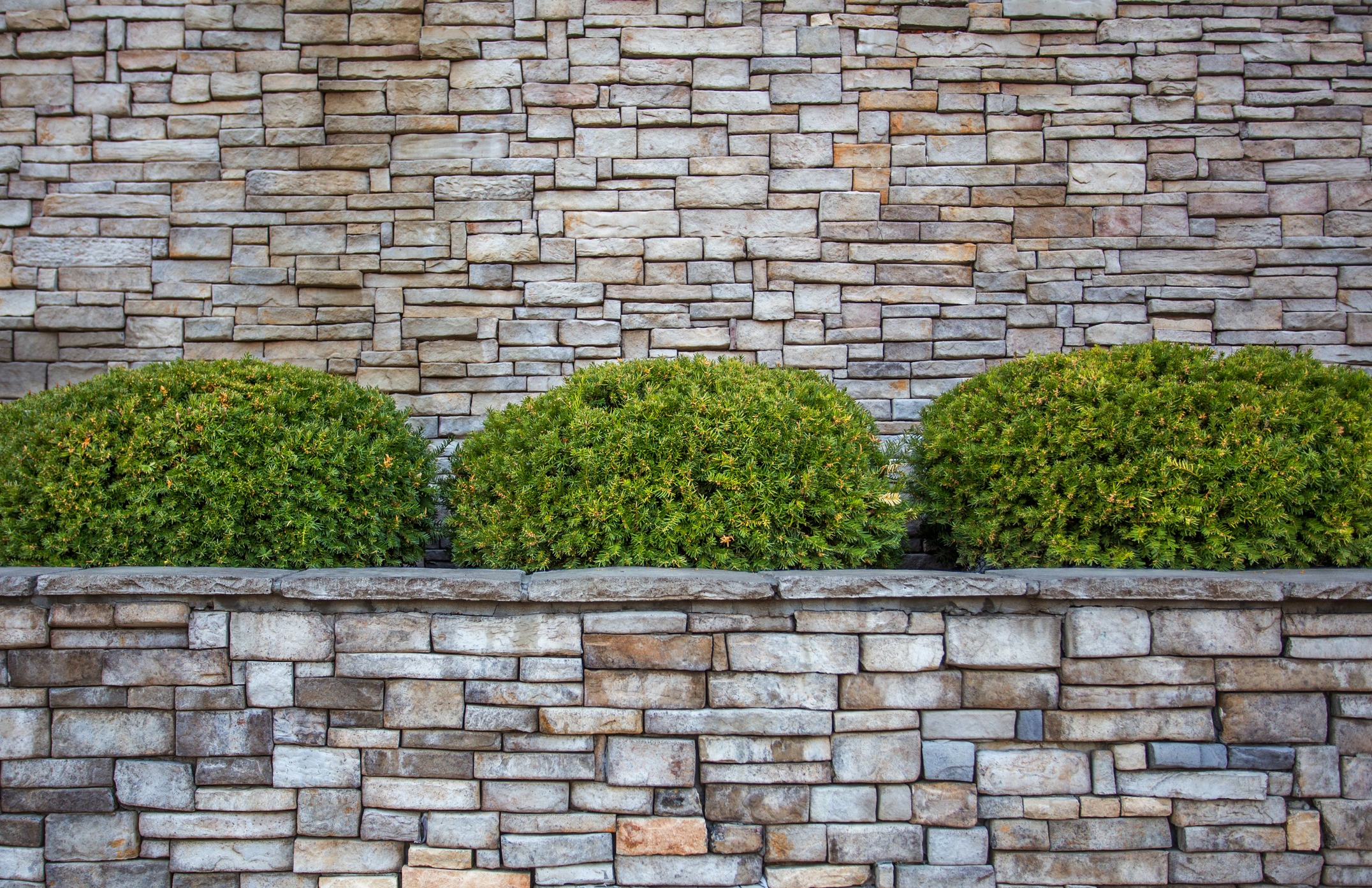 Stone wall with three neatly trimmed green bushes in front. The textured bricks create a rustic, orderly appearance. No landmarks visible.