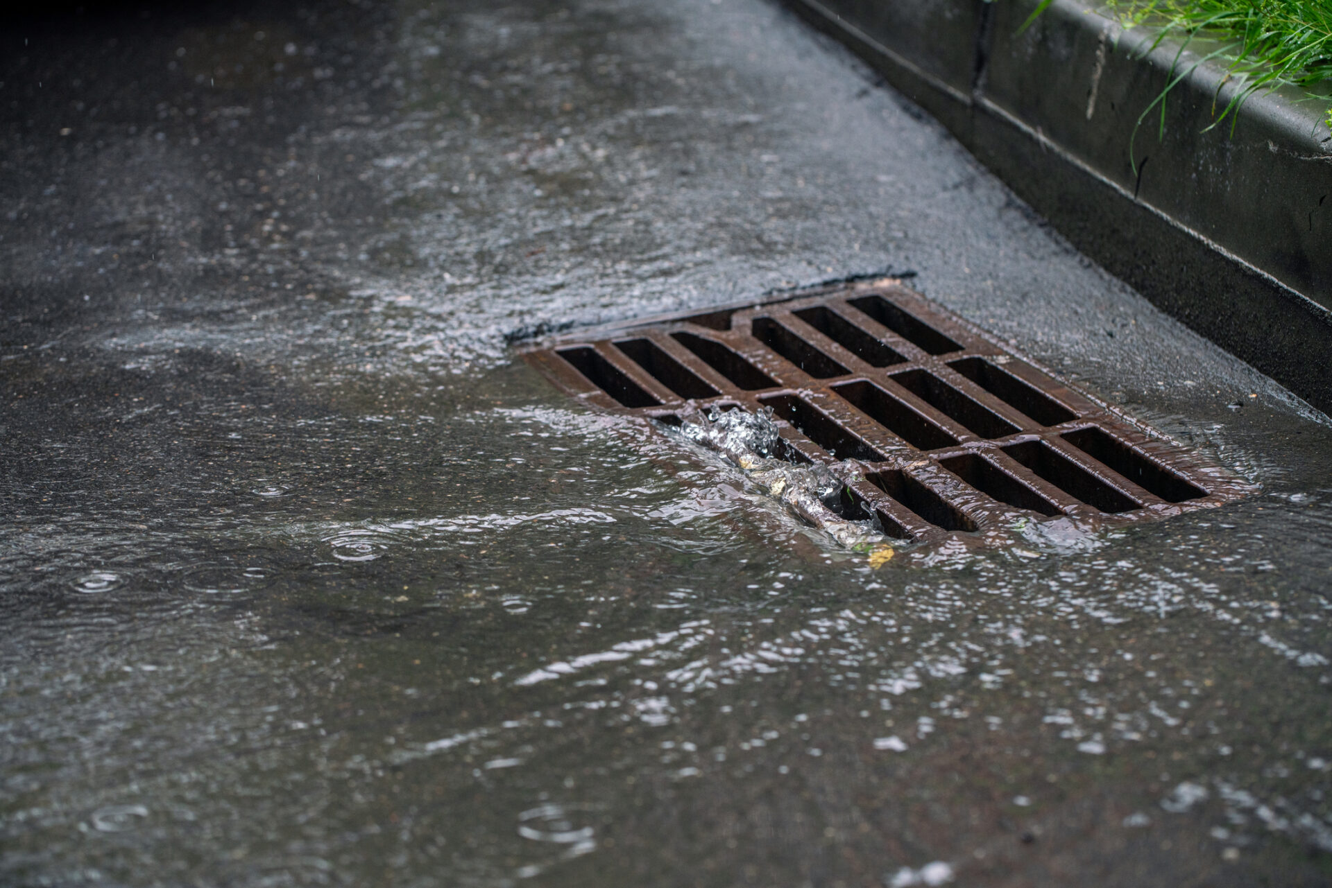 Rainwater flows into the storm drain